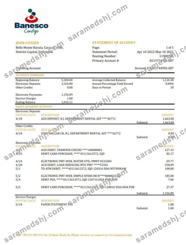Venezuela Banesco bank statement